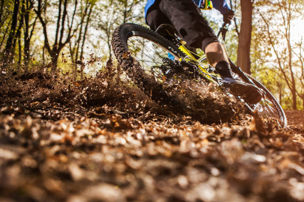 Cojinetes de plástico para bicicletas de montaña